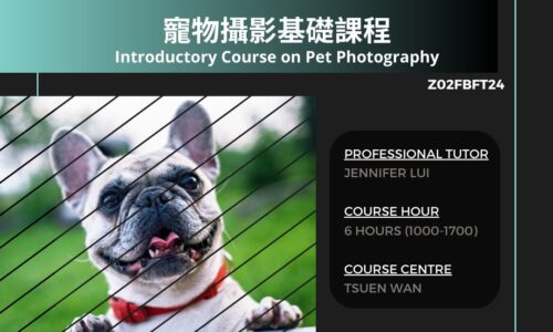 course thumbnail